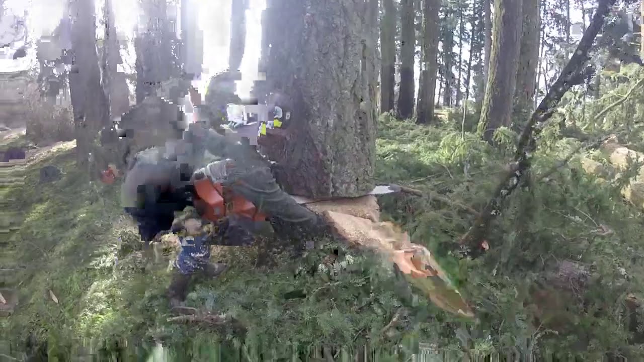 Stihl 088 42