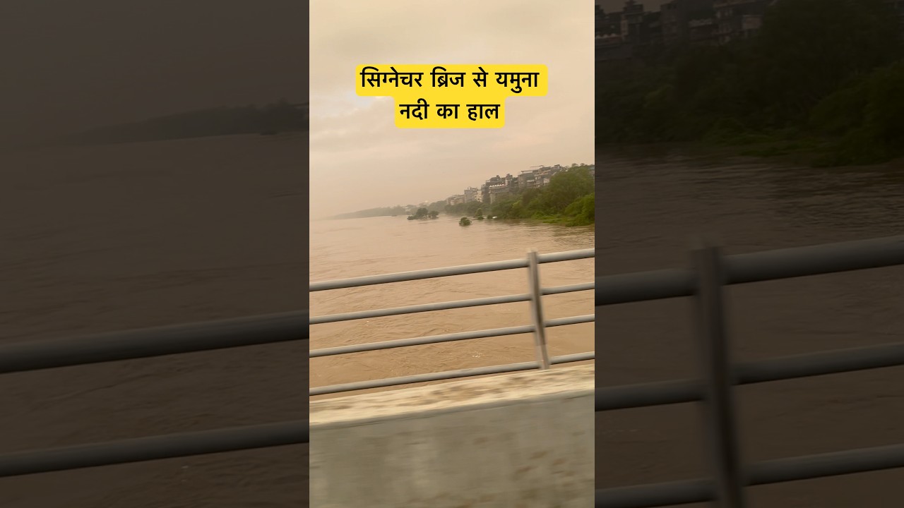 Flood alert🌊🚨| delhi flood #flood #delhi #nature #viral #yamunariver #floodalert