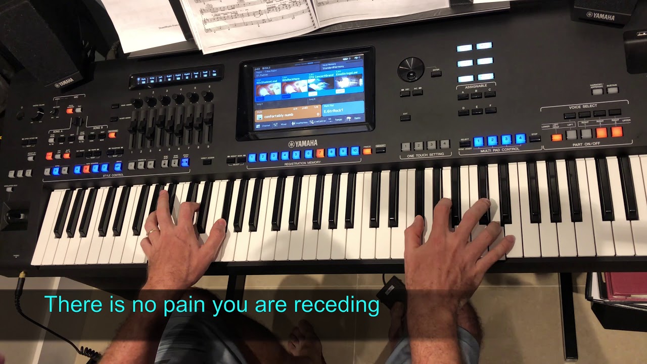 Comfortably Numb (Pink Floyd) cover played live by Pedro Eleuterio with Yamaha Genos Keyboard