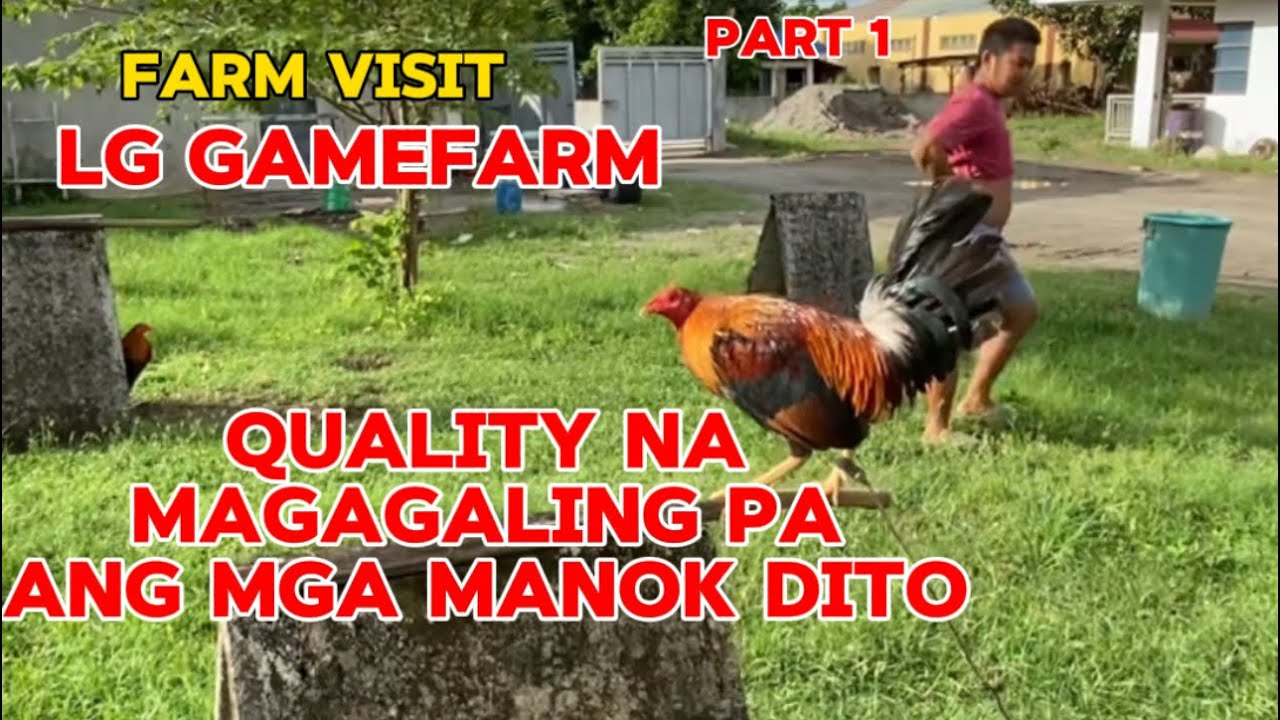 FARM VISIT SA LG GAMEFARM NI BAPANG LOISEL