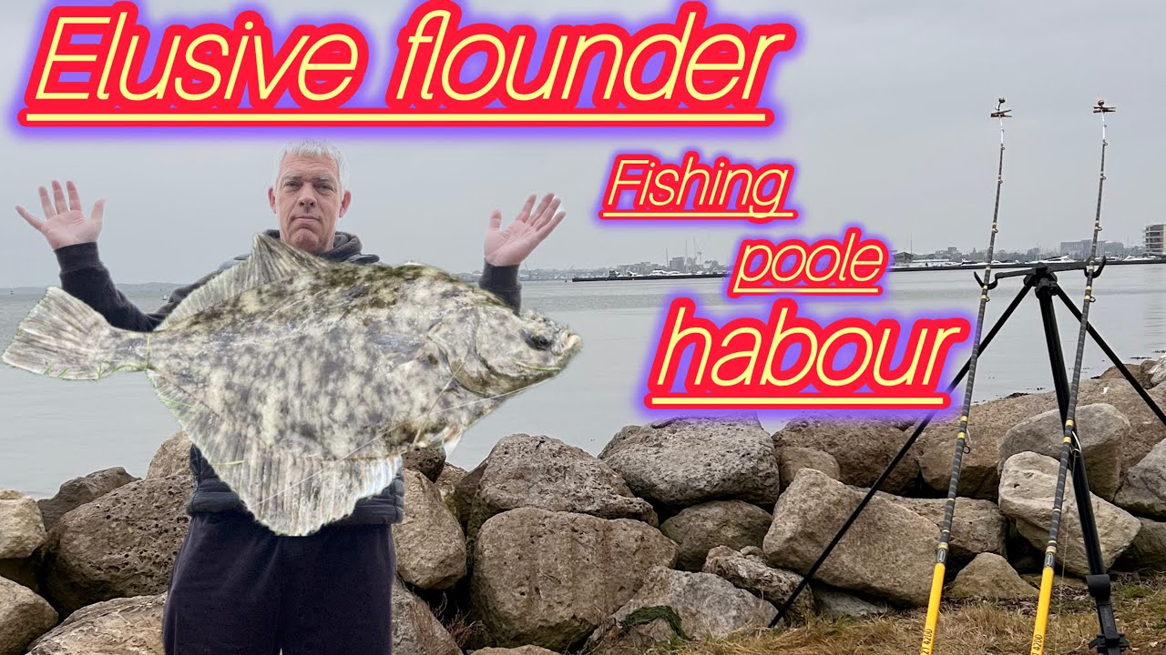 Elusive Flounder In Poole Harbour Sea Fishing