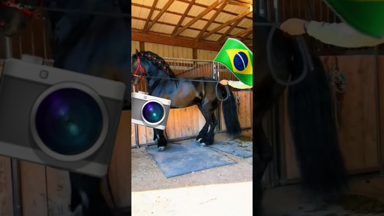 FLAGRAMOS CAVALO DAN&Ccedil;ANDO E VIRALIZOU