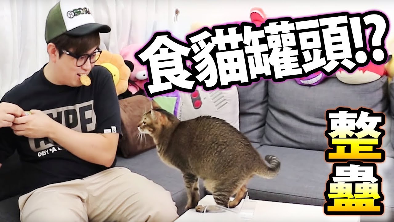 整蠱! 貓貓面前吃掉了牠的罐頭?!