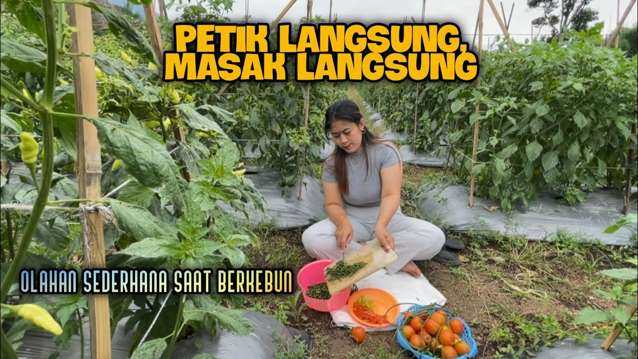 Petik Langsung dari Kebun, Masak Nasi Liwet Sederhana di Saung yang Adem Banget