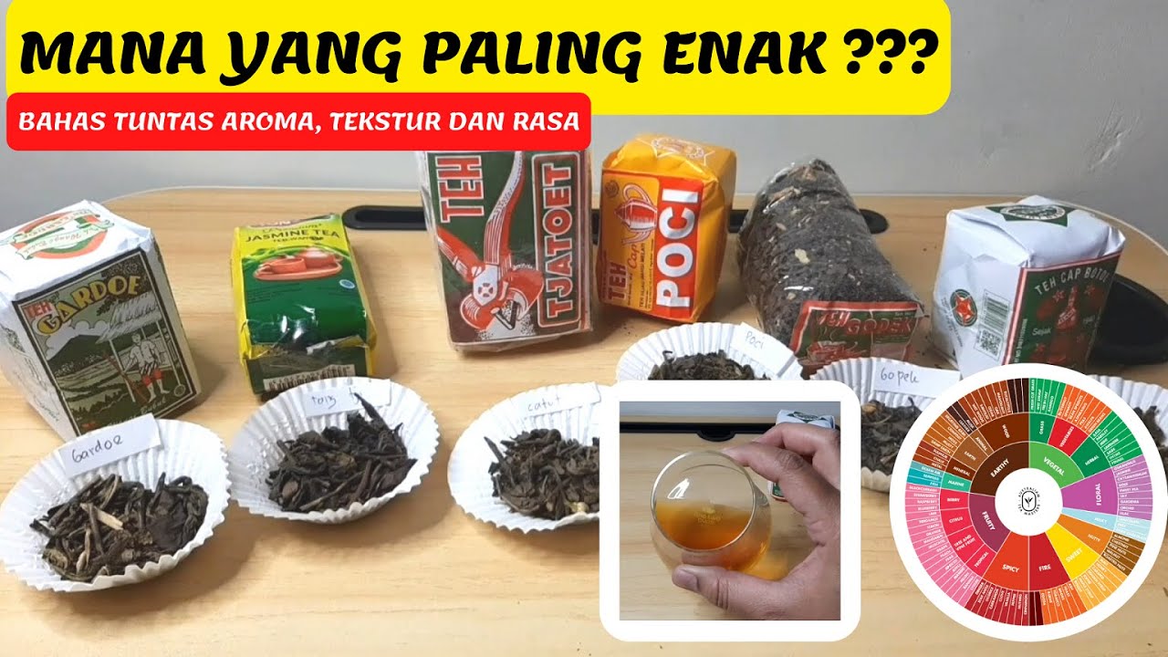 TIPS MEMILIH BIANG TEH ENAK untuk membuat IDE USAHA TEH KEKINIAN ! Biar makin laris jualan !