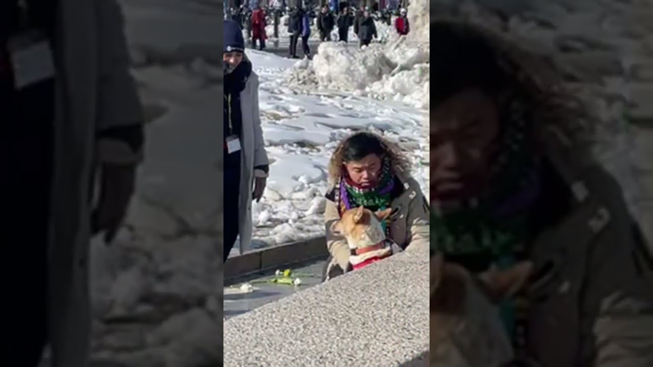 Aloka is Waiting For The Monks Here In Washington, DC!