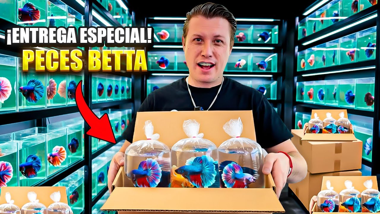 Entrega de peces EXOTICOS  a todo México actualización de local