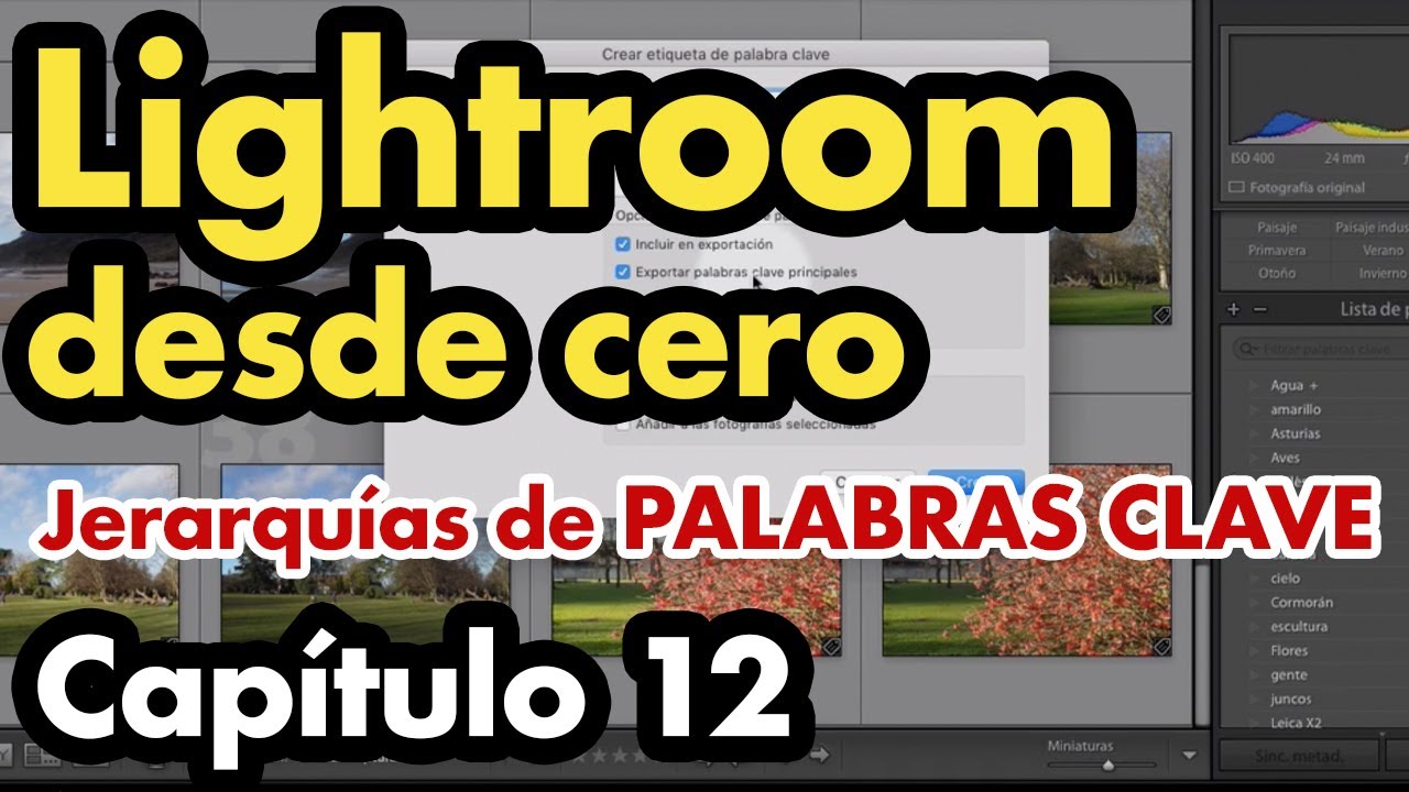 Palabras clave, JERARQUÍAS DE PALABRAS CLAVE y búsquedas. Curso Lightroom Classic – Capítulo 12