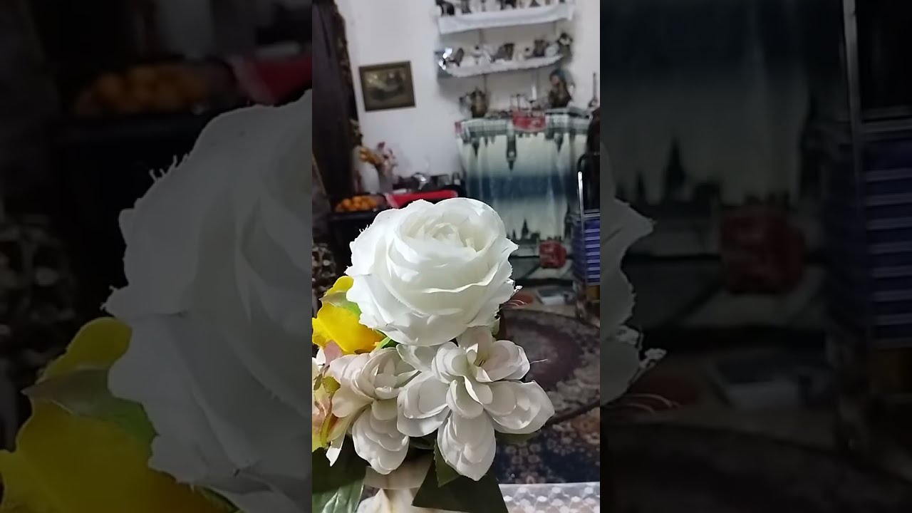 لمتنا مع الحبايب الغالين
