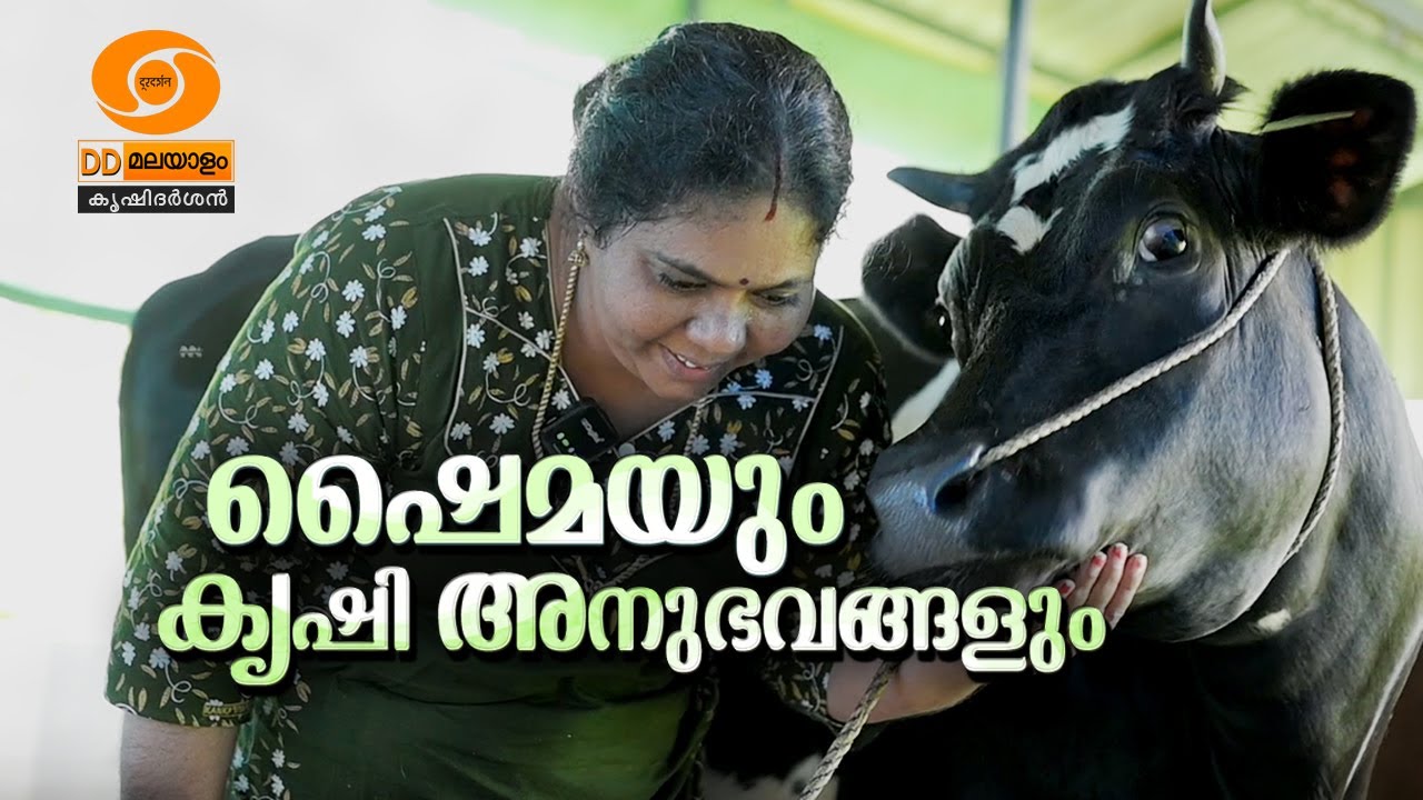 Shymayum Krishi Anubhavangalum || ഷൈമയും കൃഷി അനുഭവങ്ങളും || KRISHIDARSHAN || DD MALAYALAM ||