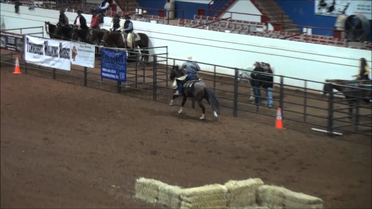 Cam Schryver Extreme Cowboy 2011 World Finals