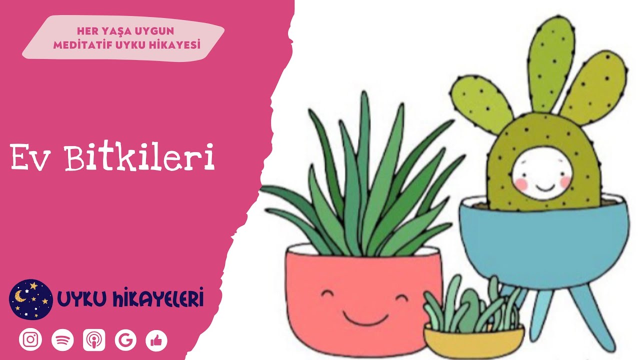 Ev Bitkileri - Her yaşa uygun uyku hikayesi