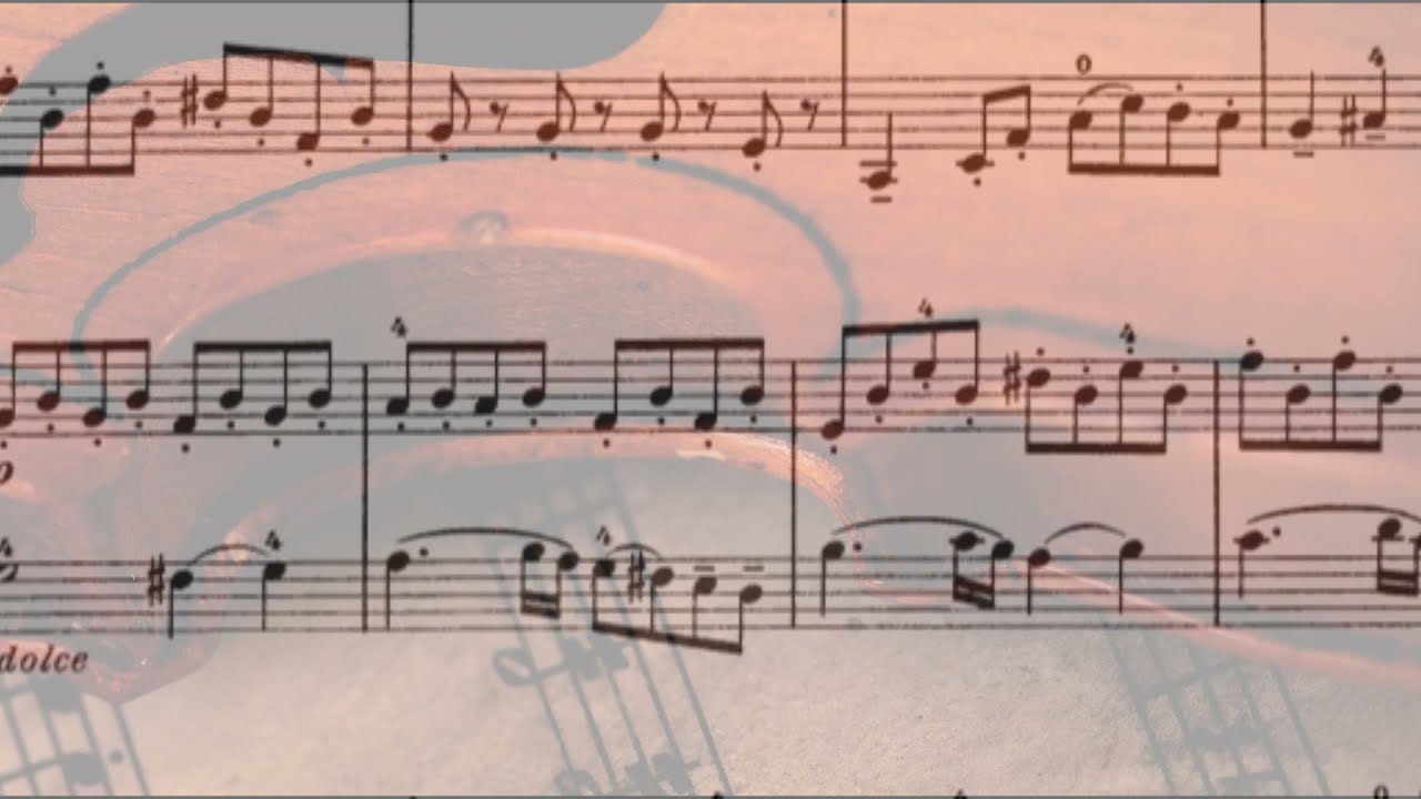 F Mazas Douze Petits Duos No. 4:  1st Movement - Allegro Moderato