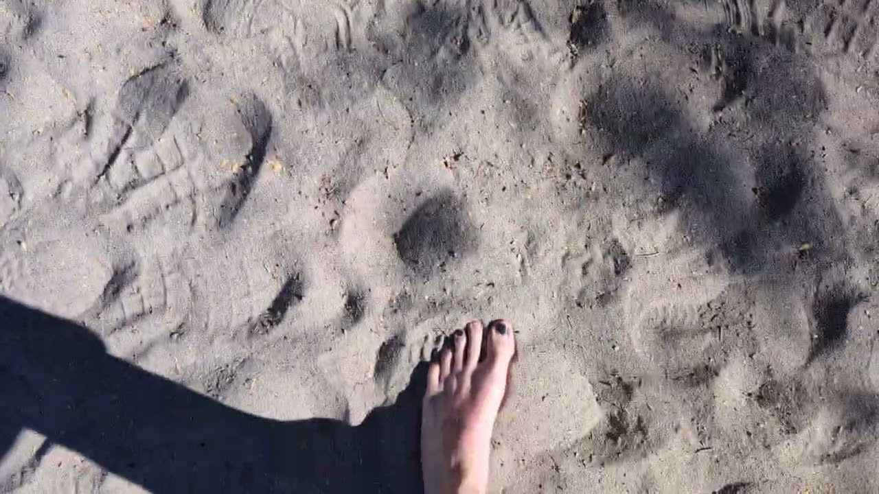 Beach walk