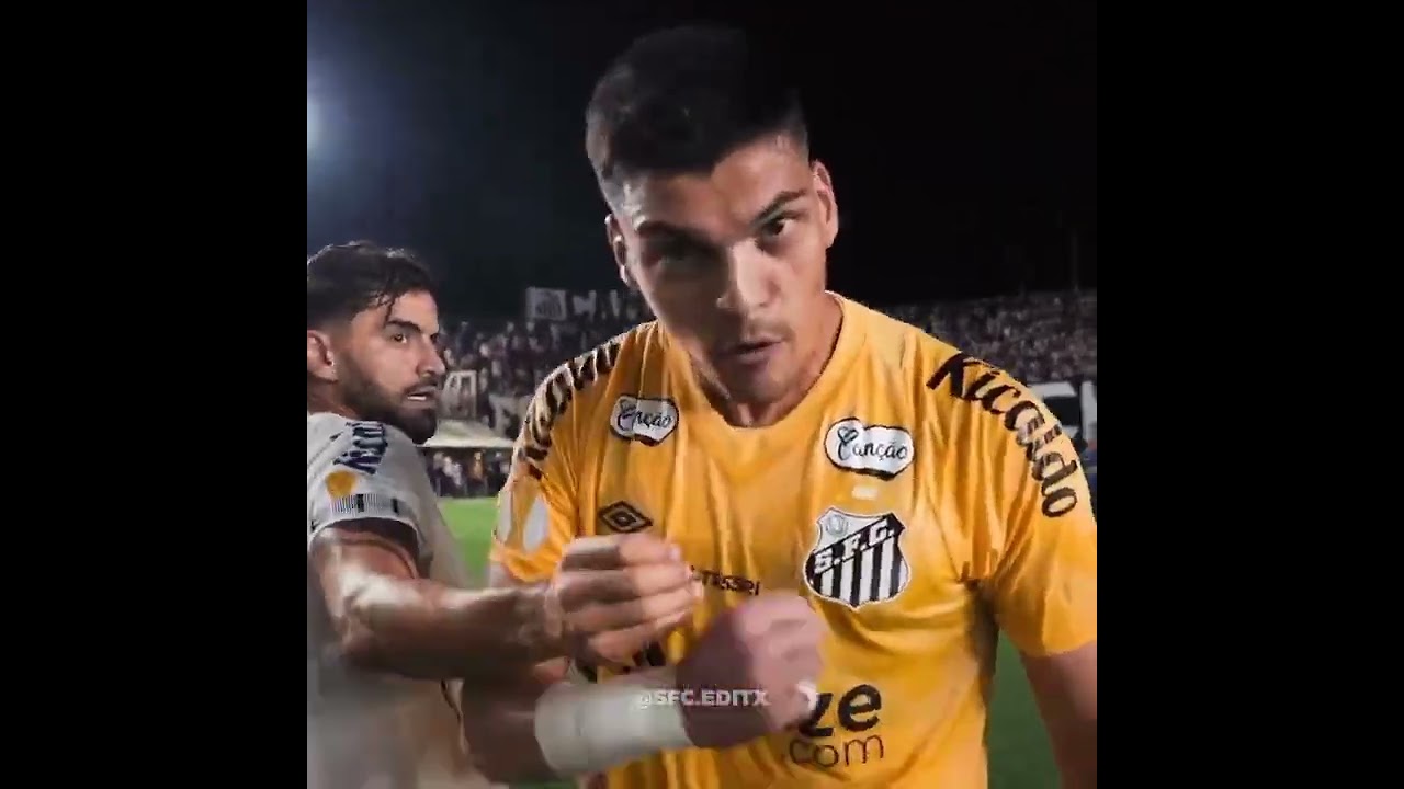 SOU F&Atilde; DO GABRIEL BRAZ&Atilde;O - F&Aacute;BIO COSTA 2.0
