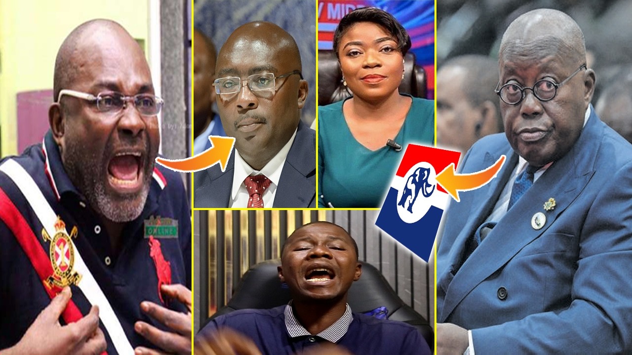 BREAK!! Hon Ken's boy replies Afia Pokua over her call for Hon Ken to advice the NPP