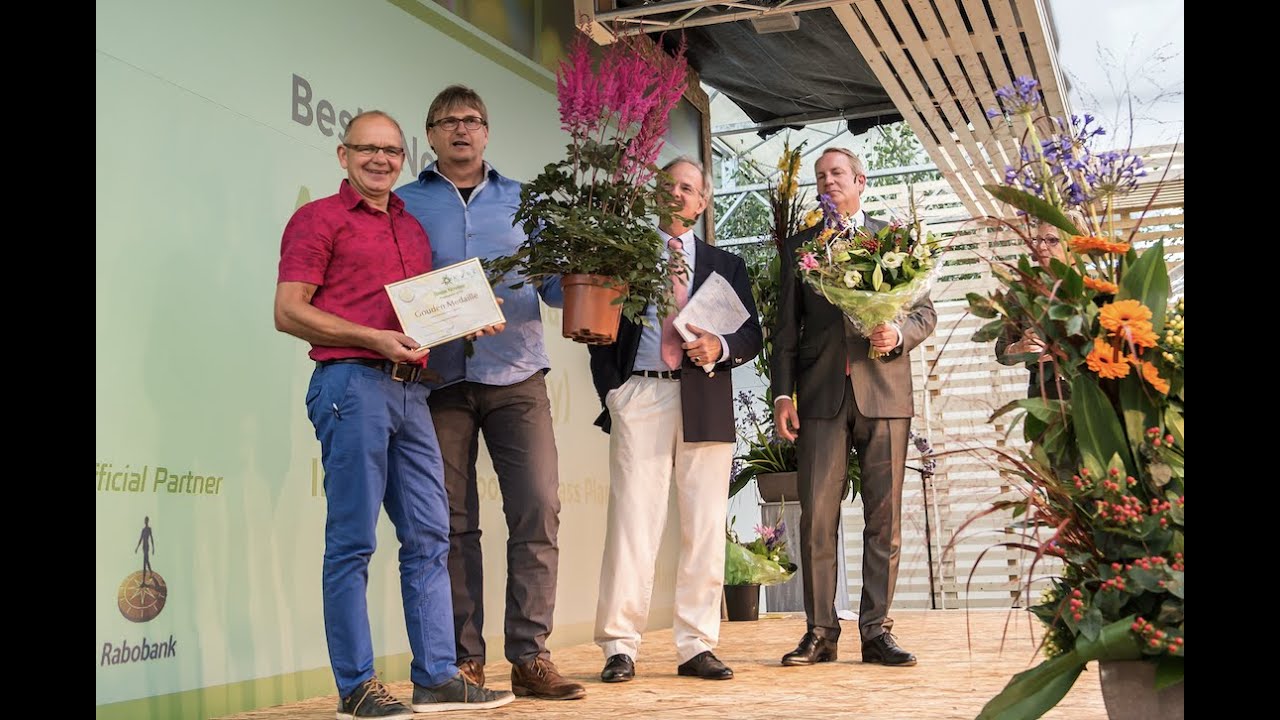 Astilbe 'Chocolate Cherry' (MIGHTY) beste Noviteit Plantarium 2016