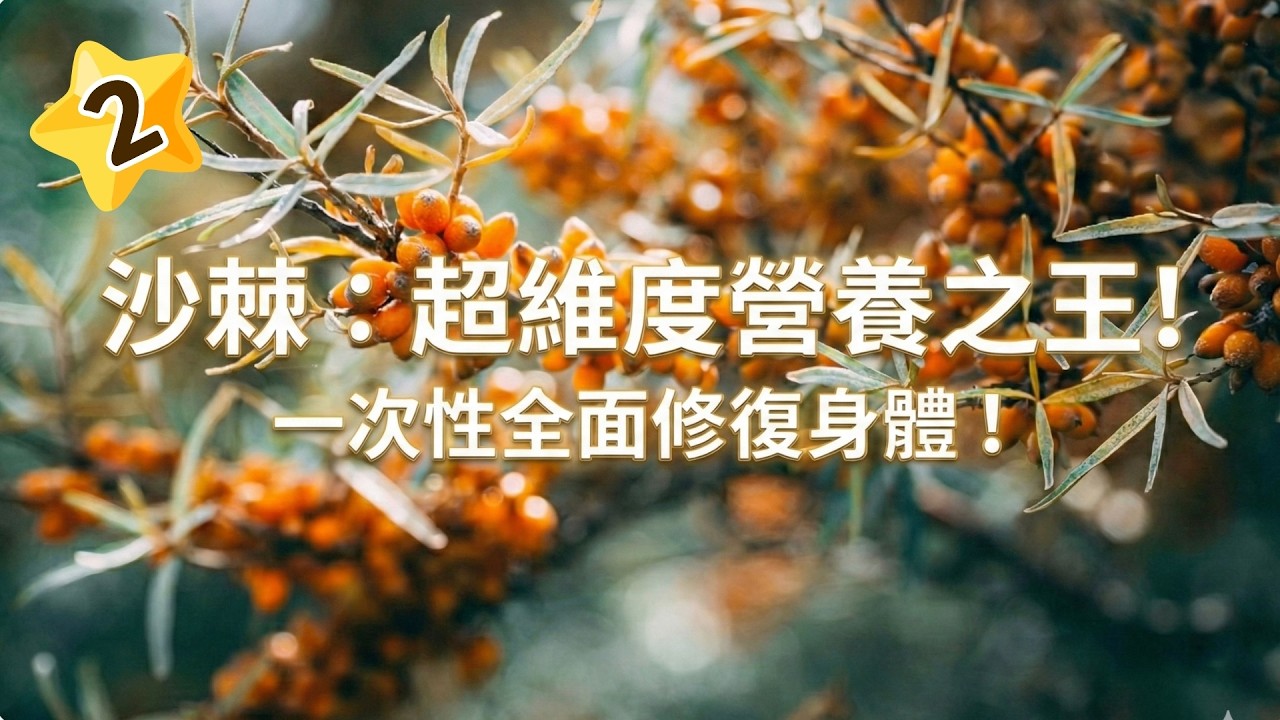 🦾【地表最強的全能健康守護神——揭開「沙棘」的神秘面紗】✨