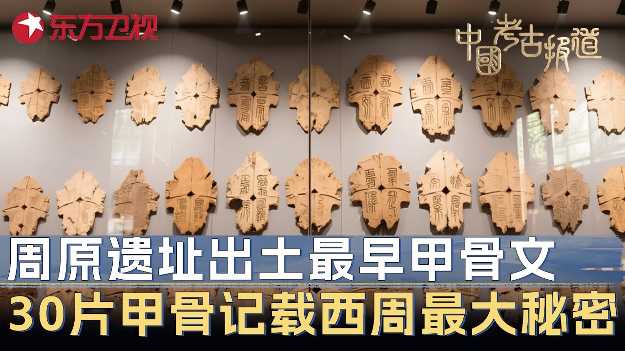 周原遗址出土史上最早甲骨文! 30片甲骨破译后专家集体震惊: 记载了西周最大秘密 #中国考古报道 FULL
