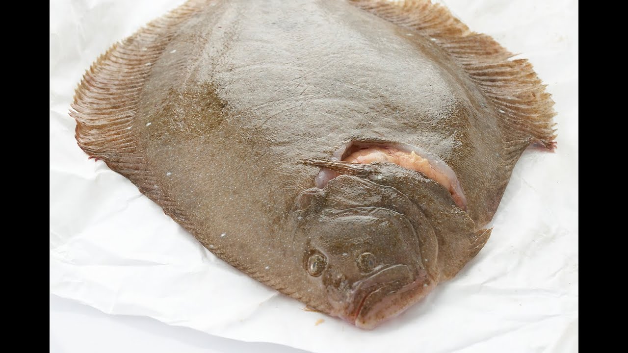 Griet fileren