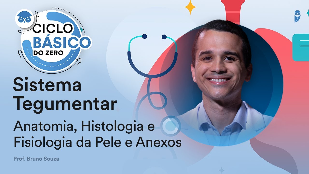 Sistema Tegumentar: Anatomia, Histologia e Fisiologia da Pele e Anexos - Ciclo Básico do Zero