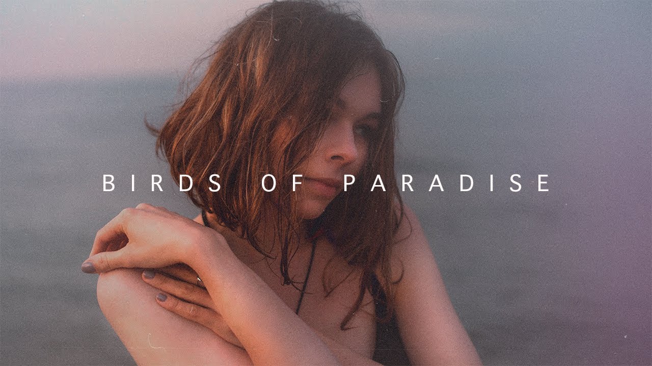 nvrluv - Birds of Paradise