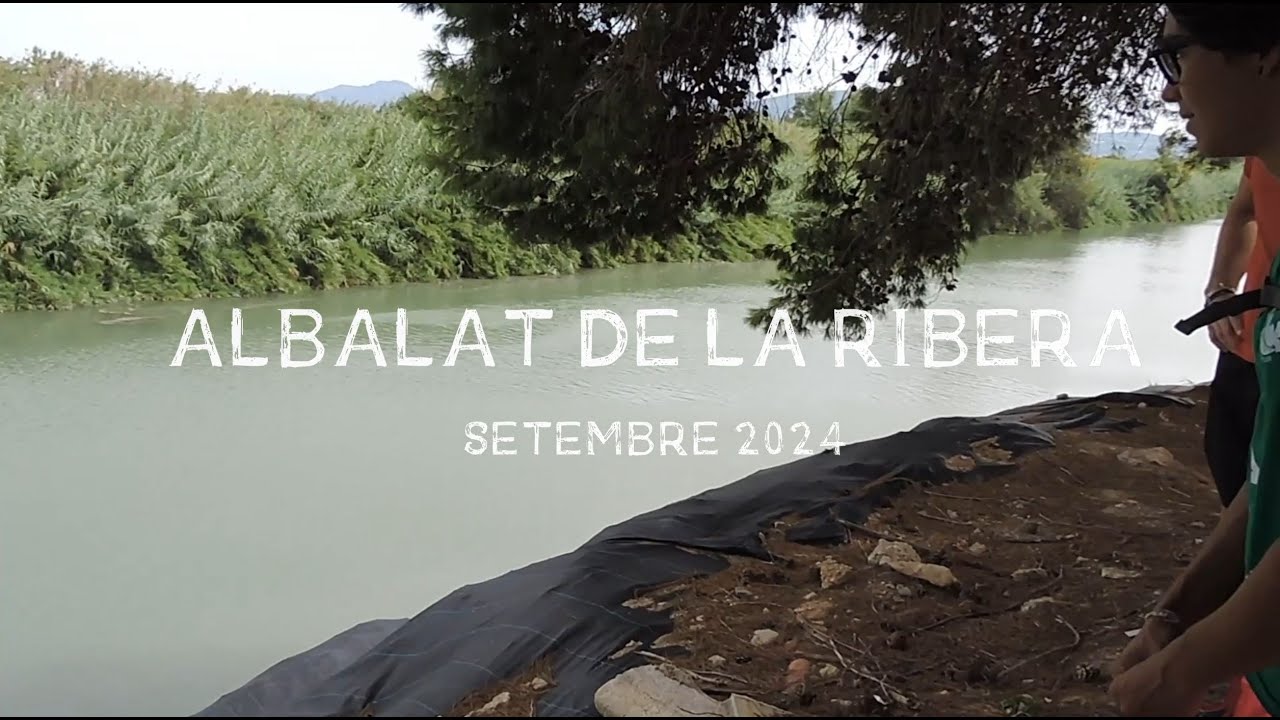 ALBALAT DE LA RIBERA | CAVANILLES EXPLORA
