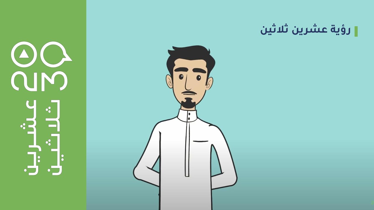عشرين ثلاثين - تلخيص لركائز و محاور و برامج تنفيذ الرؤية