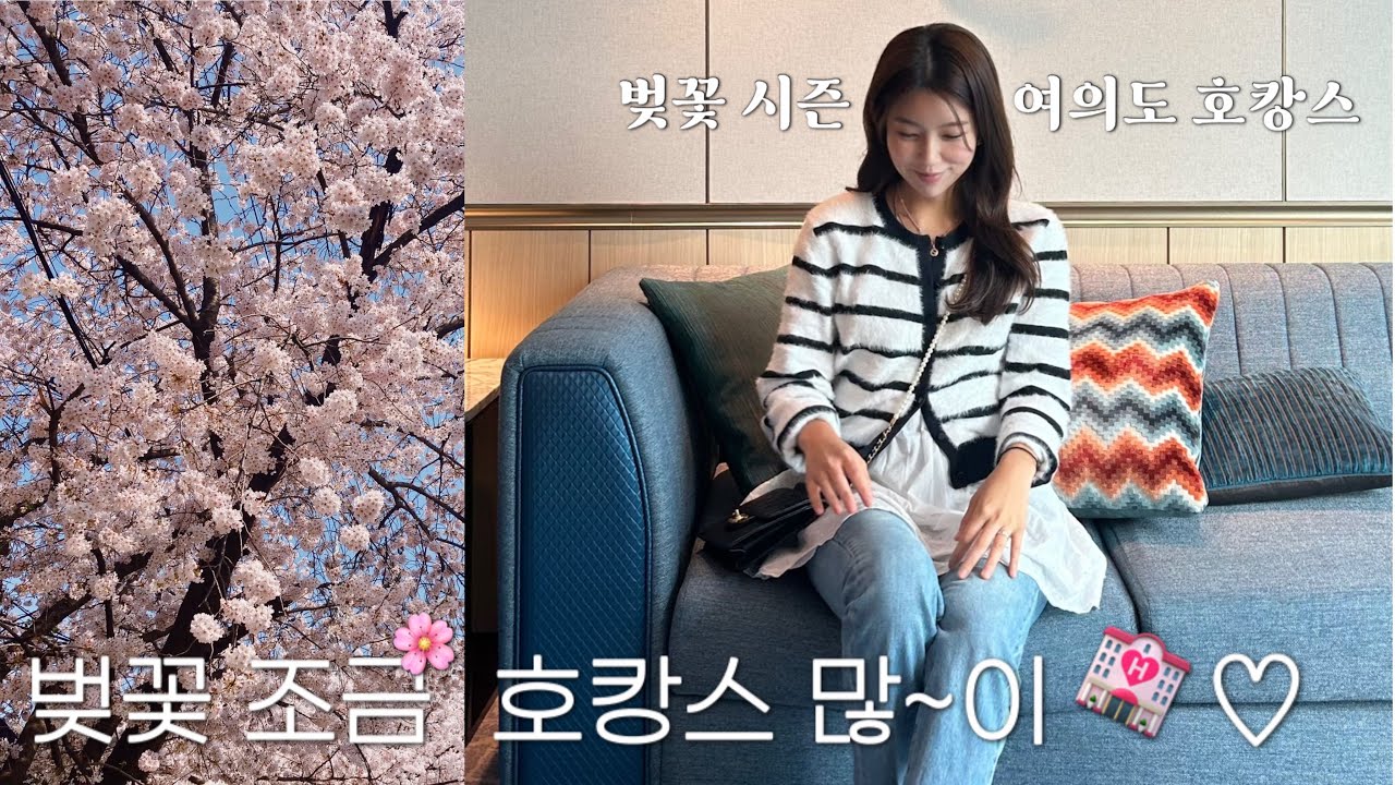 (vlog) 한달 만에 베뉴 재방문👰🏻‍♀️, 페어몬트 앰배서더 서울🏩ㅣ스위트룸 호캉스, 조식이 8할, 벚꽃 시즌 여의도 한강공원, 수원 벚꽃 명소, 골든라운지, 신혼부부