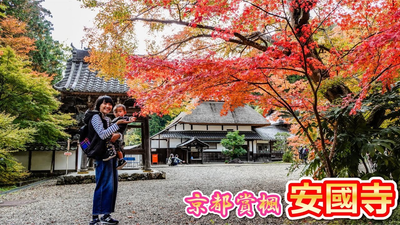 【京都賞楓】2019年 綾部 安國寺 茅草屋與紅葉絕景 在地人的私房景點