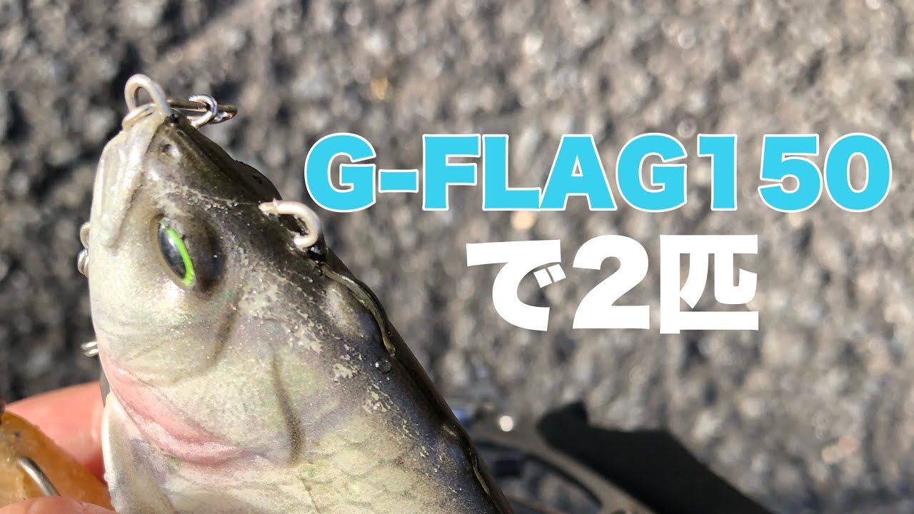 G-FLAG150で2匹