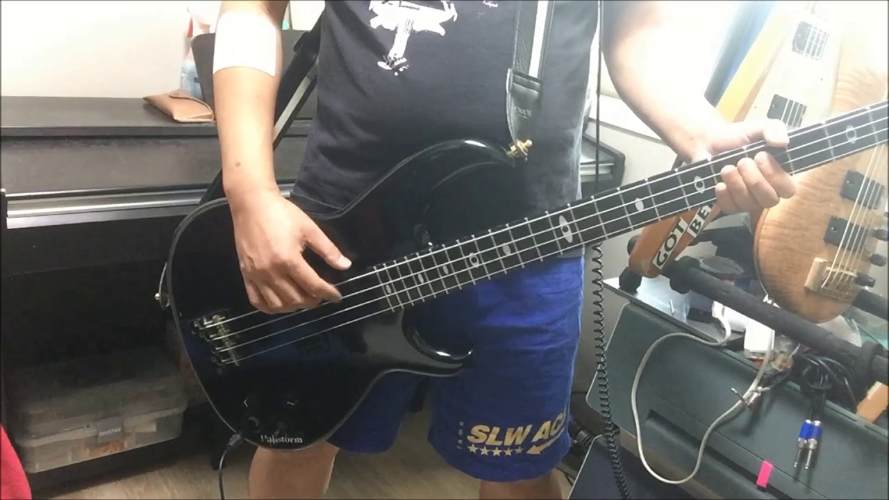 Iron Maiden _ the Trooper (Bass Cover)