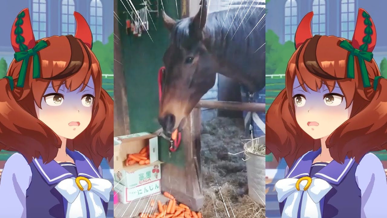 ニンジンの盗み食いがバレた史実のナイスネイチャ(34)に対するみんなの反応集【ウマ娘プリティーダービー】