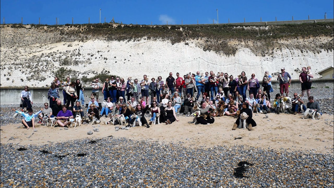 Fox Terrier Frolics April 2022