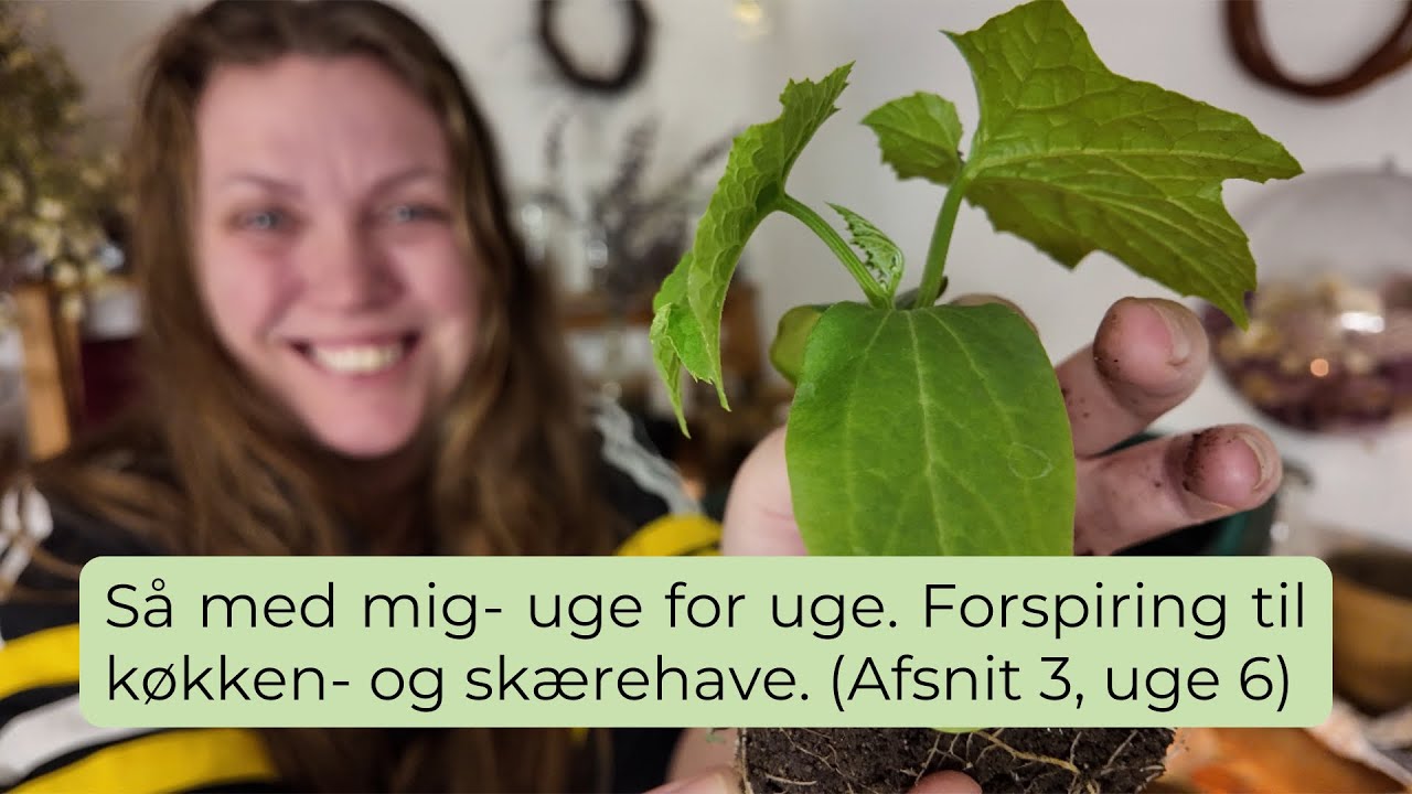 Så med mig- uge for uge. Forspiring til køkken- og skærehave. (Afsnit 3, uge 6)