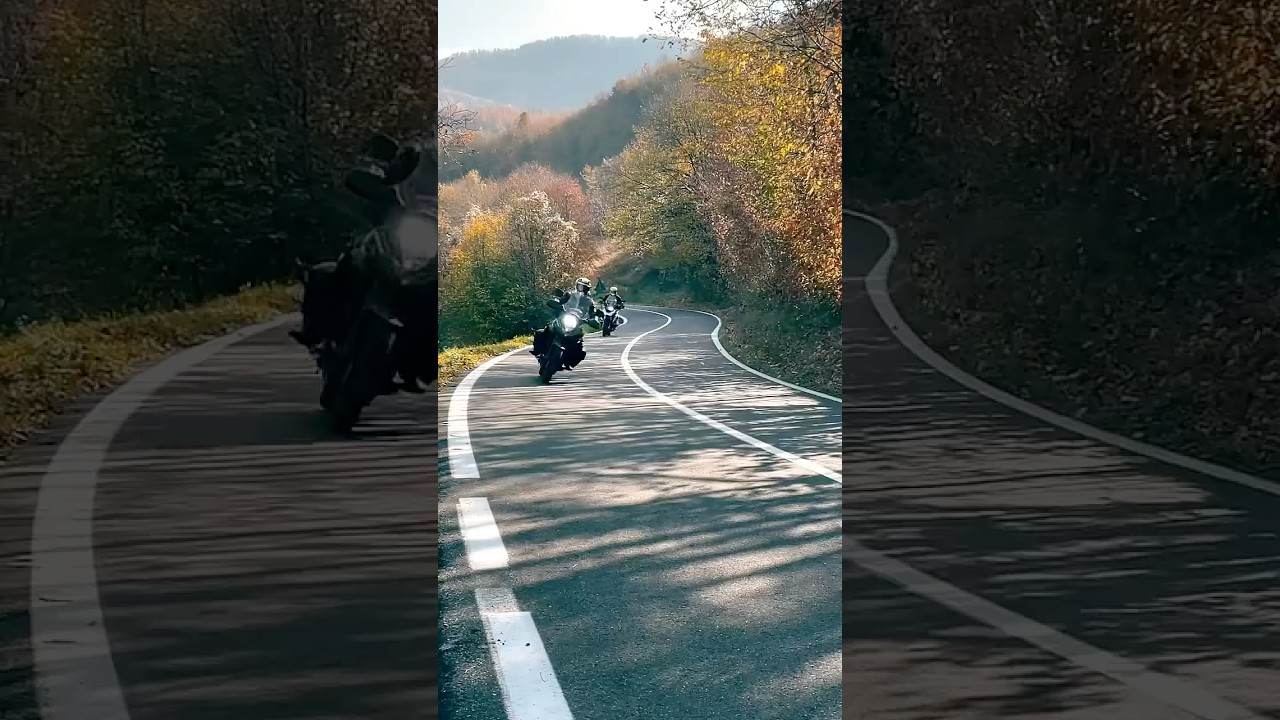 Giro autunnale tra Oltrepò, Penice e Val Tidone: colori, curve e pura magia. 🍁🏍️ 
