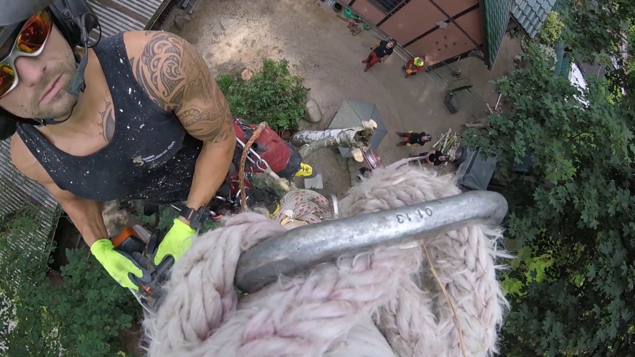 climbing arborist - not a job - a vocation