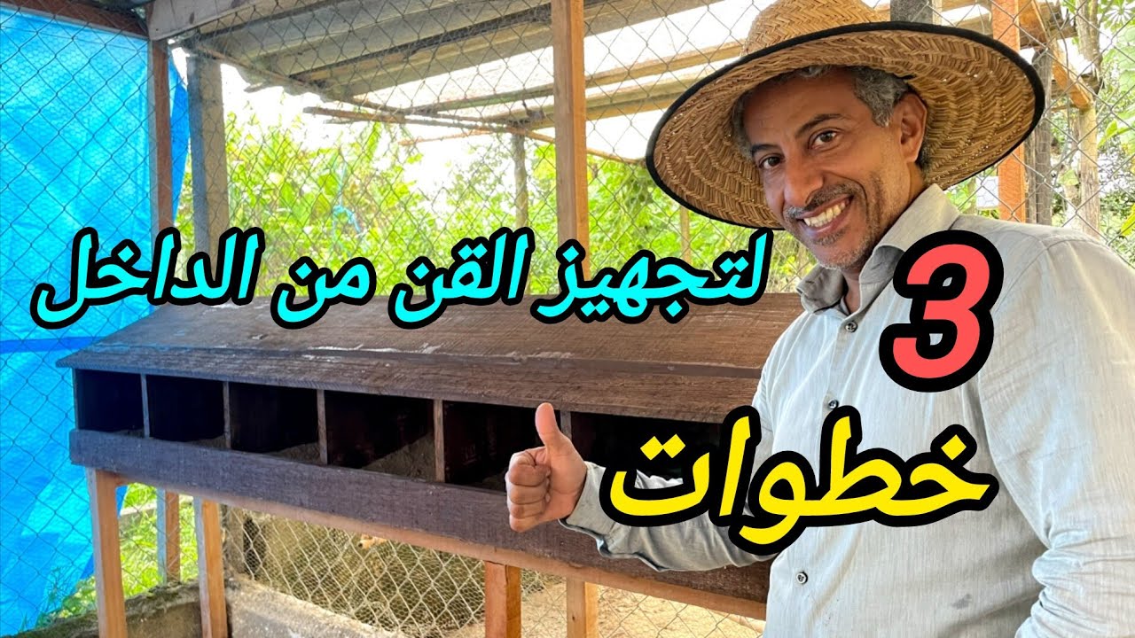 تربية الدجاج 2 # 🐓 خطوات تجهيز قن الدجاج من الداخل