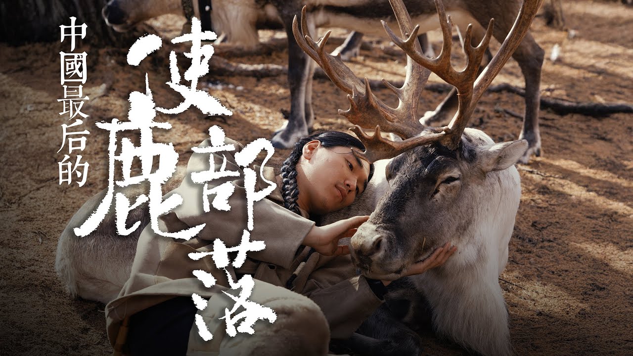 消失的文明需要被看见，最后的使鹿部落鄂温克族 | 哈苏X2D II拍摄
