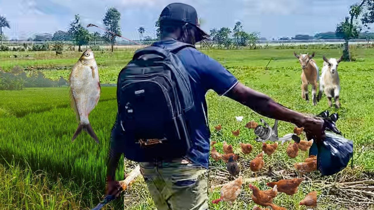 Senat lage bagay yo. Diri ak mouton, pwason ak poul! 2026, ane rekòt la! 💦 🌾🐑 🐓 🐠 🇭🇹💪 #foryou #haiti