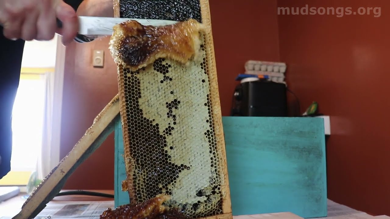Crushing & Straining Old Dark Honey Combs