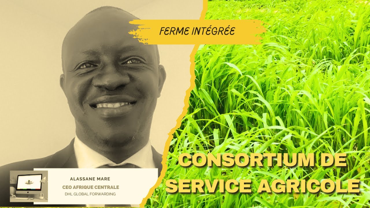 Agriculture : Ferme Intégrée ( Consortium de Service Agricole )