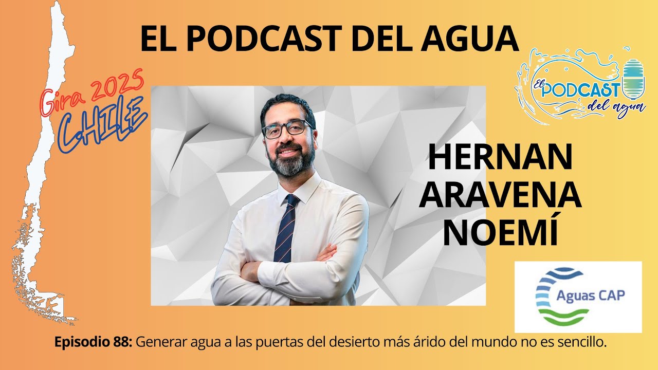 #88 ENTREVISTA HERNAN ARAVENA NOEMÍ