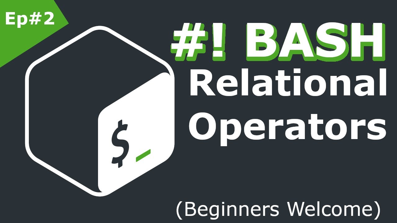 Bash Shell Scripting Tutorial for Beginners | Relational Operators and If Statements | Ep#2 (Linux)