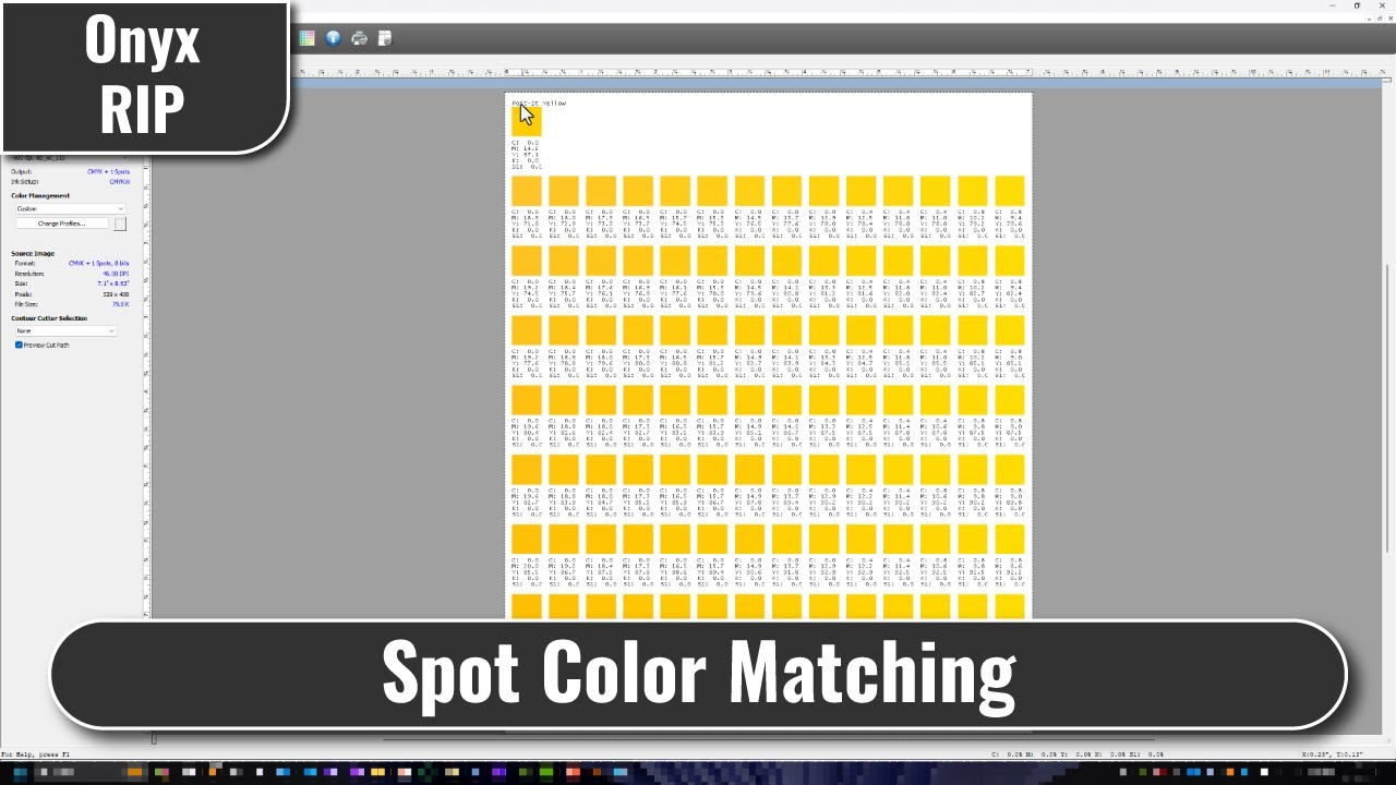 Onyx RIP Custom Spot Colors