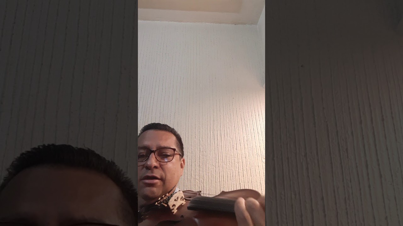 cómo tocar 3 regalos con violín. 1 cuerda(voz)