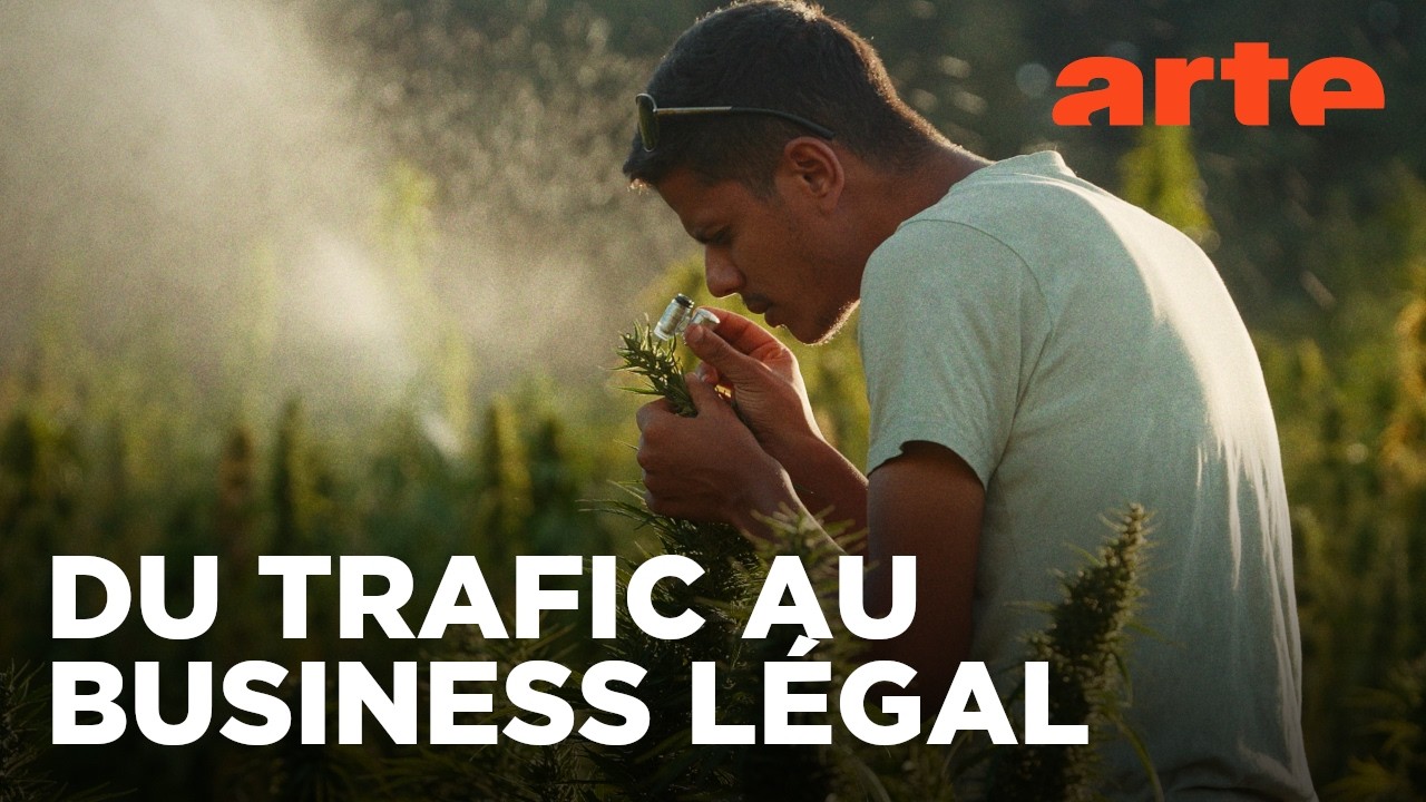 Maroc, le tournant du cannabis m&eacute;dical | 360&deg; Reportage | ARTE