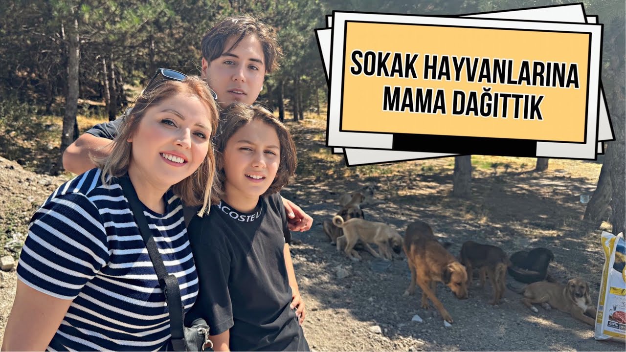 SOKAK HAYVANLARINA MAMA DAĞITTIK !!