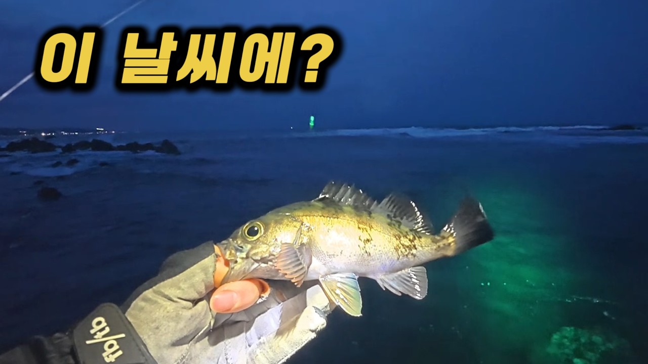 이 날씨에 볼락 될까? 직접 해봤습니다