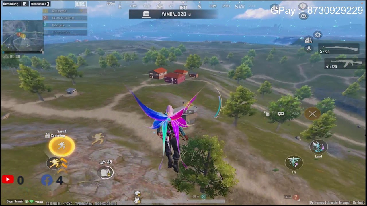 Pro squad rush me